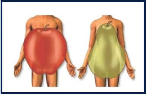 apple and pear shaped body